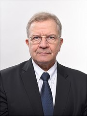 Portrait von Professor Wolfgang Bessler