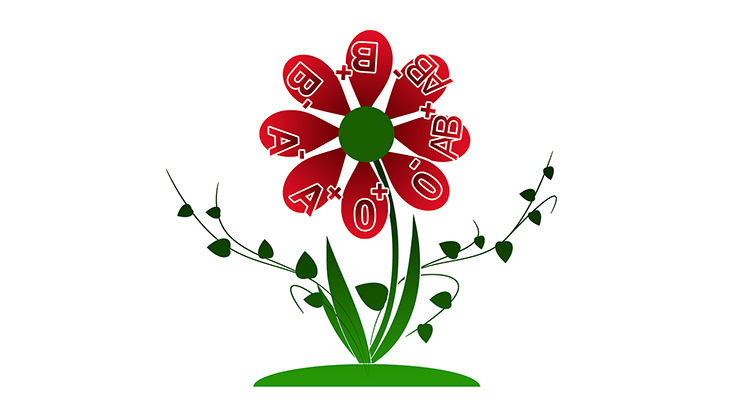 Patient und Arzt bei der Blutspende